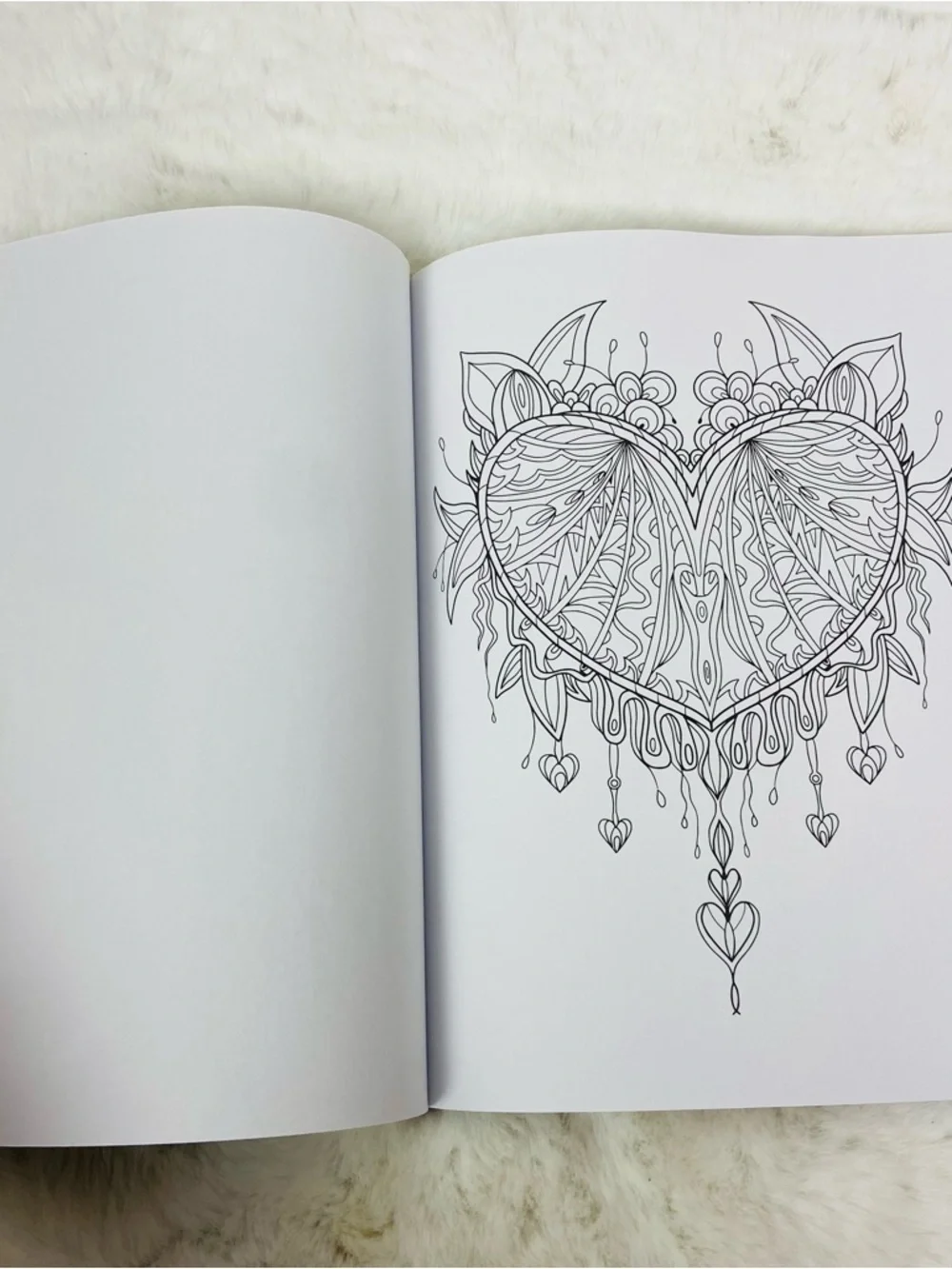 Soothing Color Enchanting Collection Coloring Book dream catcher Teal & Magenta